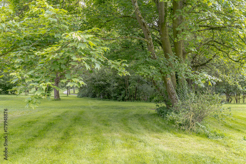 idyllic park scenery