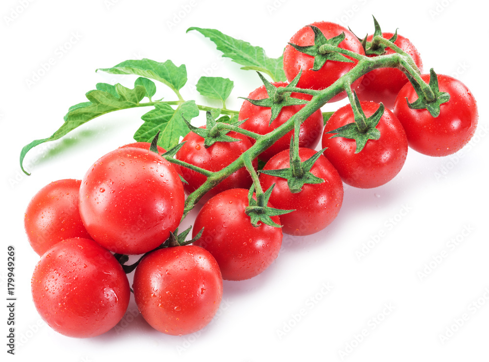 Branch of cherry tomato on the white background. Branch of cherry tomato on the white background.