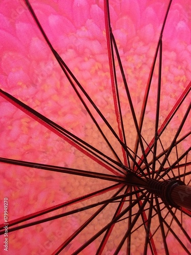 Sfondo fucsia e rosa