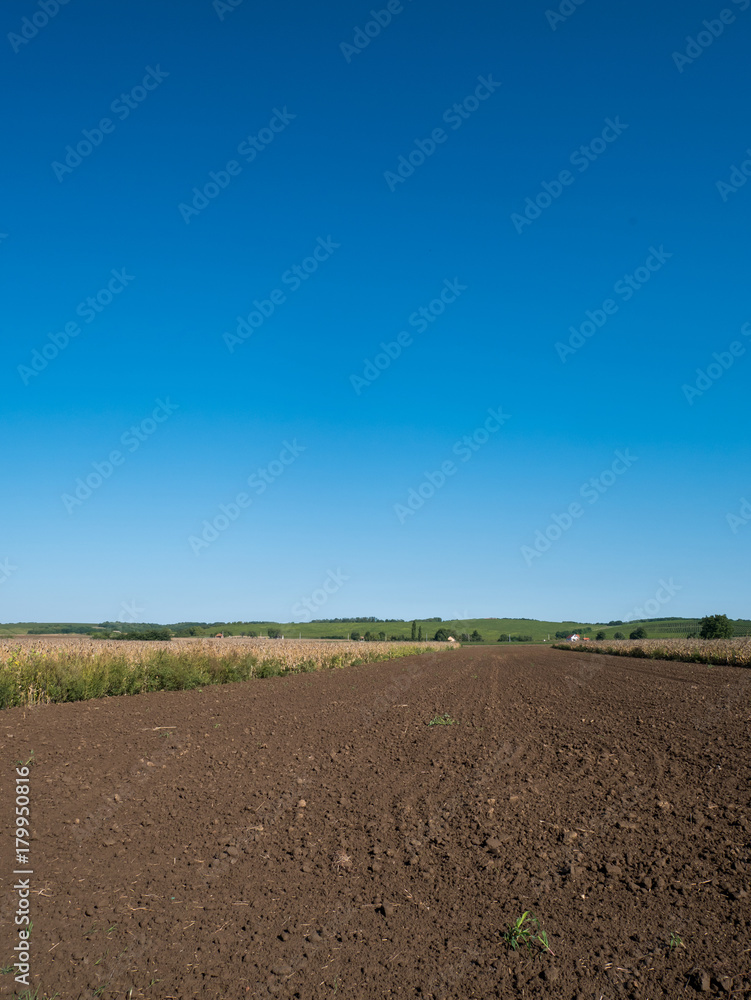 Field ready for planting Field ready for planting