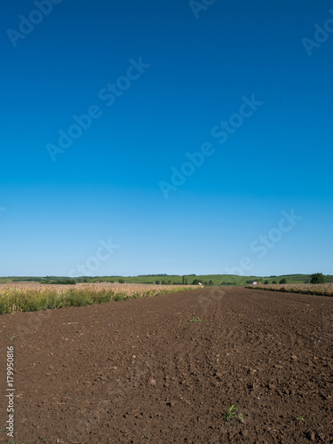Field ready for planting