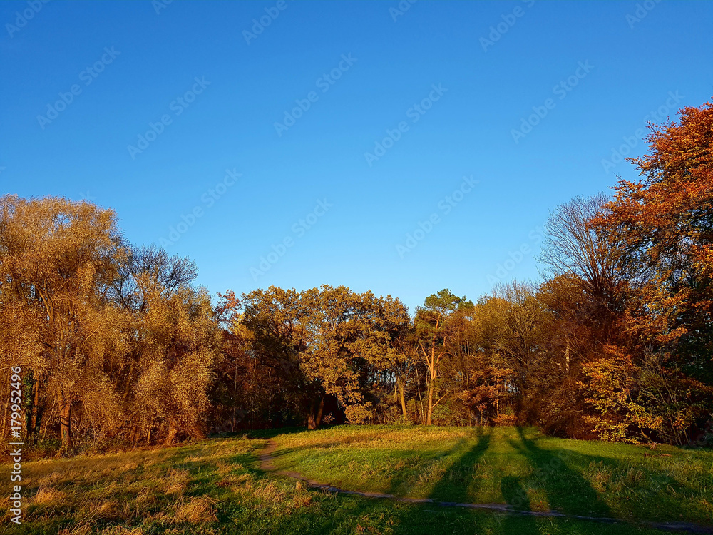 Fototapeta premium Herbstliche Parklandschaft im Norden von Berlin im Abendlicht