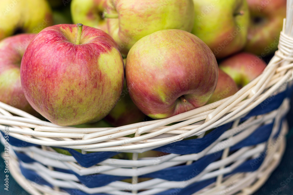 autumn harvest composition with apples in the basket. autumn harvest composition with apples in the basket.