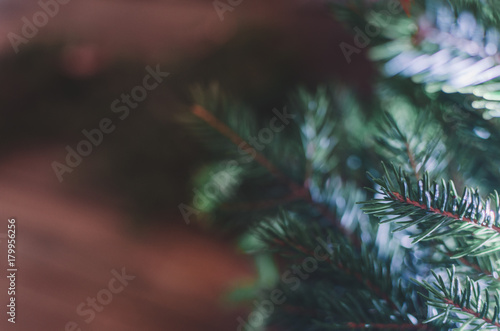 Christmas Tree Background