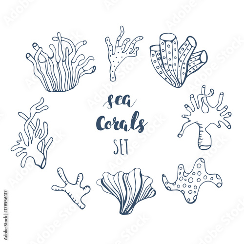 Set of hand drawn underwater coral reef elements. Vector design for your sea life illustration. Blue, pink, green, orange corals on white background.