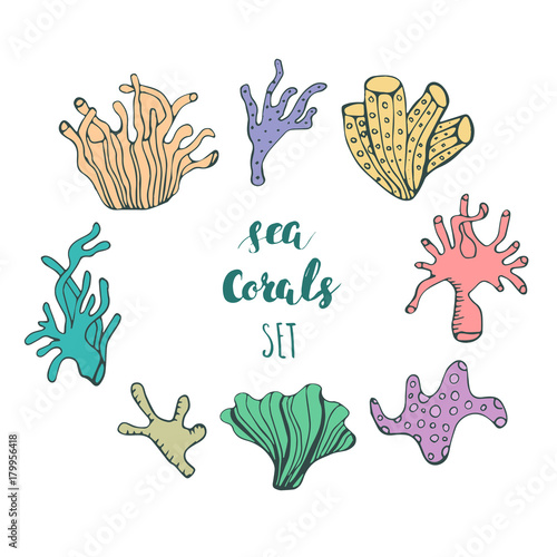 Set of hand drawn underwater coral reef elements. Vector design for your sea life illustration. Blue  pink  green  orange corals on white background.