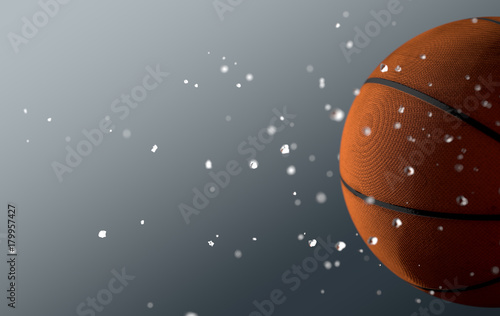 Basket Ball In Flight