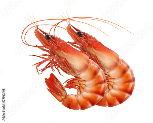 Red prawns or tiger shrimps isolated on white background