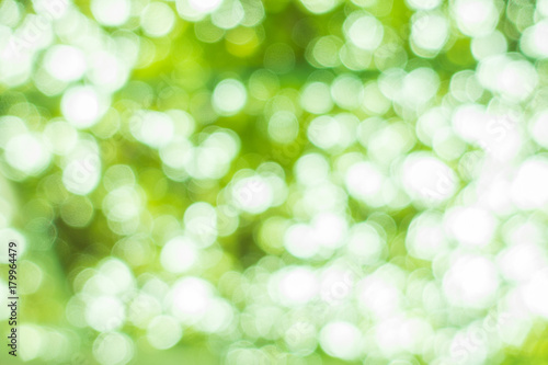 Nature blur greenery bokeh leaf wallpaper. spring and autumn park background; Soft focus light on view leaves flare.