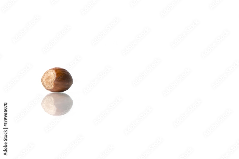 hazelnut isolated on white studio background hazelnut isolated on white studio background
