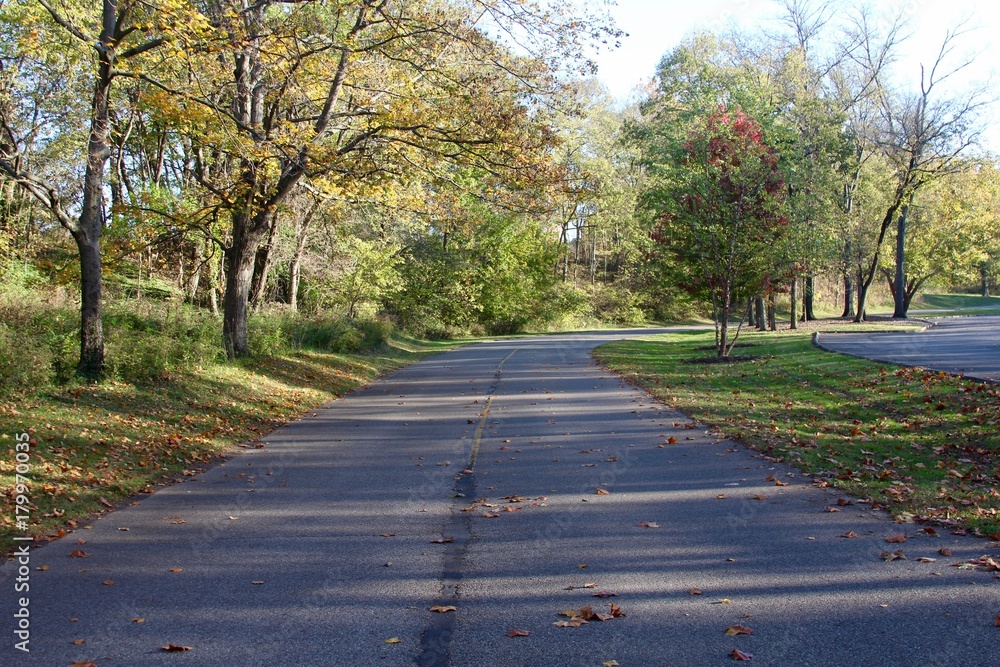 The empty park road on a autumn day.