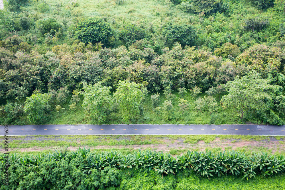 Bird eye view of trail in an open green field