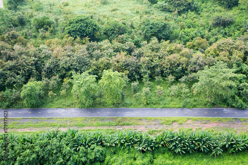 Obraz na płótnie Bird eye view of trail in an open green field
w salonie