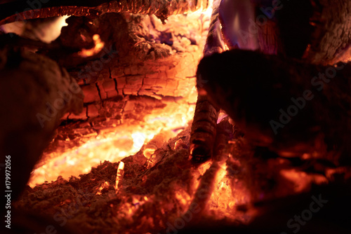 Bonfire, Bright flame, Burning firewood, Fire in the fireplace, close-up