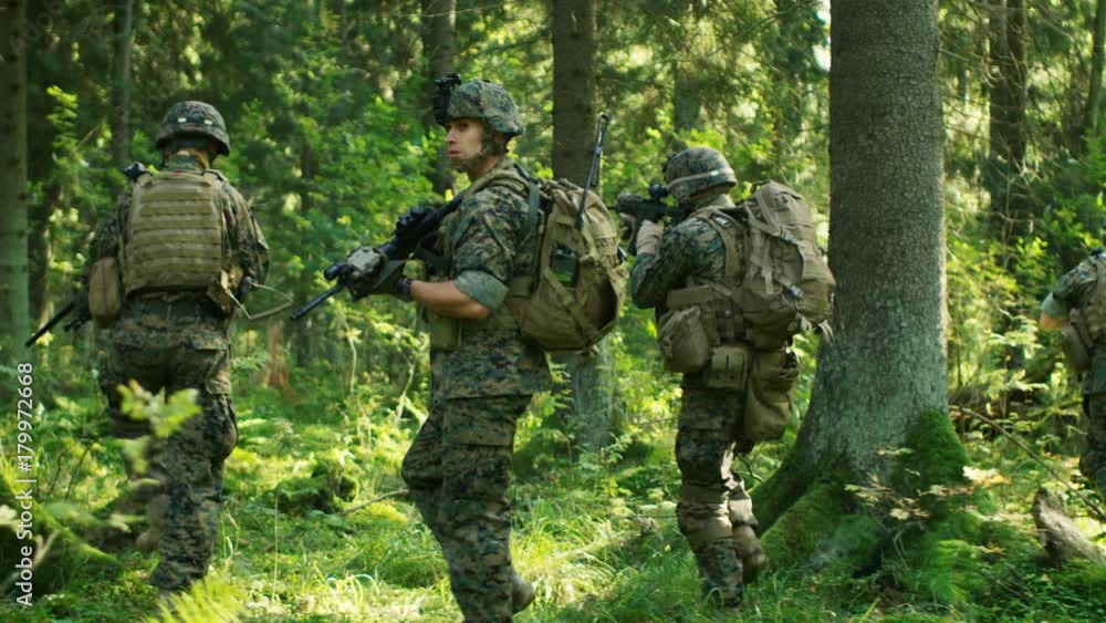 Squad of Five Fully Equipped Soldiers in Camouflage on a Reconnaissance Military Mission, Rifles in Firing Position. They're Moving in Formation Through Dense Forest. Squad of Five Fully Equipped Soldiers in Camouflage on a Reconnaissance Military Mission, Rifles in Firing Position. They're Moving in Formation Through Dense Forest.