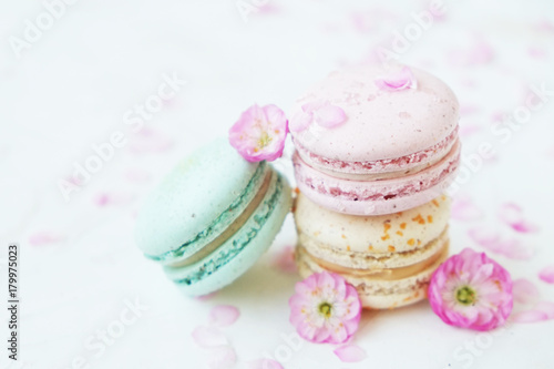 Macaron or macaroon french coockie on white textured with spring sakura flowers  pastel colors.