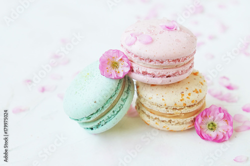 Macaron or macaroon french coockie on white textured with spring sakura flowers, pastel colors.