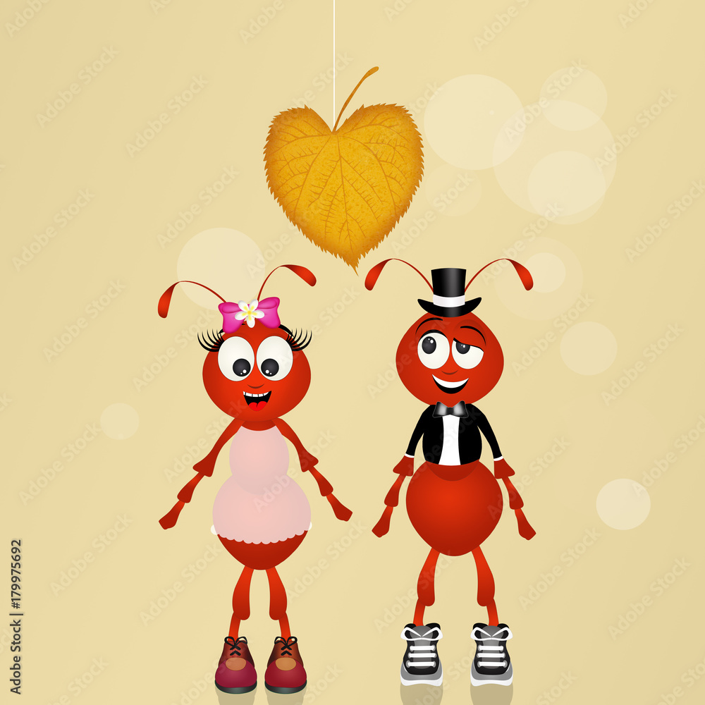 Fototapeta premium illustration of ants spouses