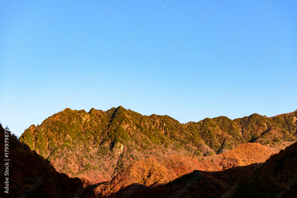 Obraz premium 朝日に照らされる紅葉した山