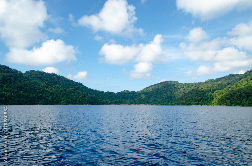 Beautiful Seascape with Focus on the Forest on the Mountain Rock in the Sea. 