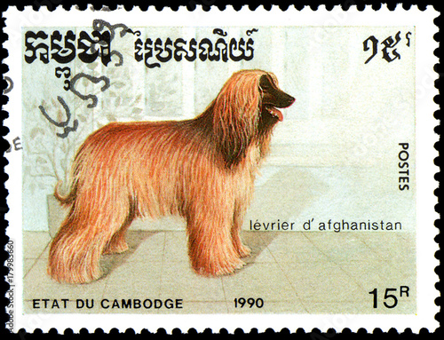 CAMBODIA - CIRCA 1990: postage stamp, printed in Cambodia, shows a Afghan Hound