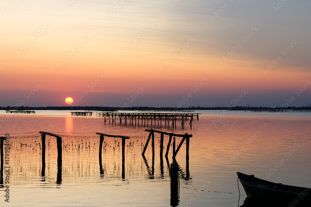 Oyster Beds at Sunset