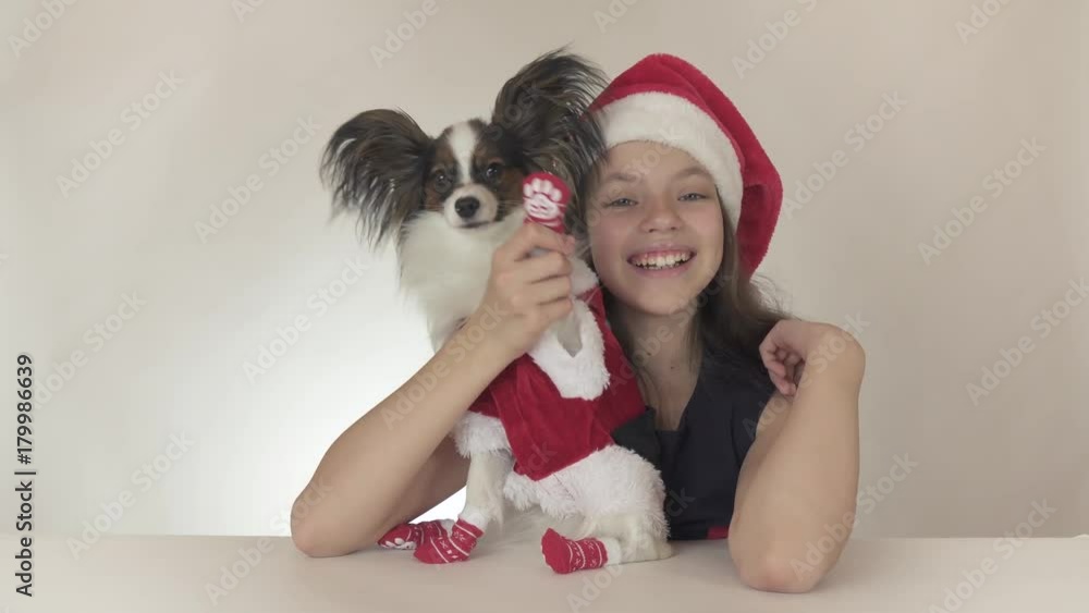 Beautiful teen girl and dog Continental Toy Spaniel Papillon in Santa Claus costumes waving a paw happily on white background stock footage video. Beautiful teen girl and dog Continental Toy Spaniel Papillon in Santa Claus costumes waving a paw happily on white background stock footage video.