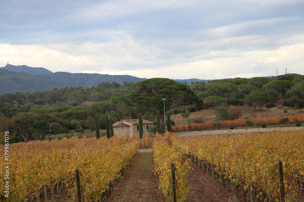 Naklejka premium Casolare nella campagna Francese in costa azzurra