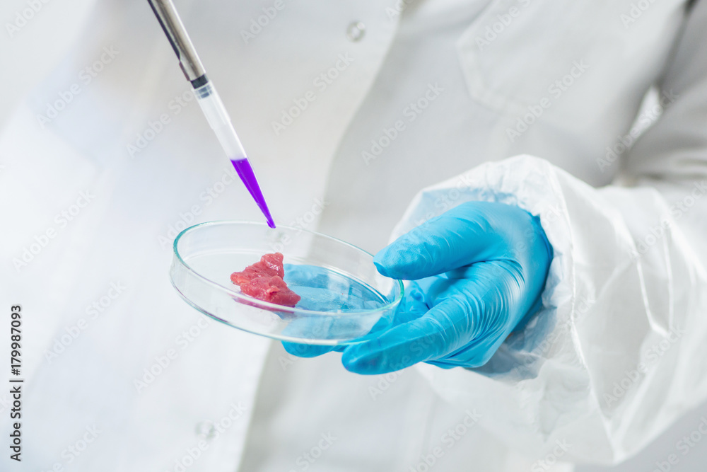 Food safety Food safety