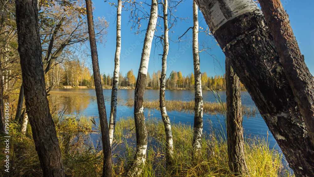 Autumn forest lake. Beautiful nature background Autumn forest lake. Beautiful nature background