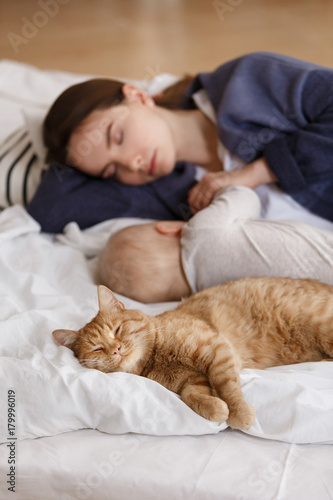 young mother sleeps together with the son in the afternoon in a bed together with a red cat. Focus on cat, top view