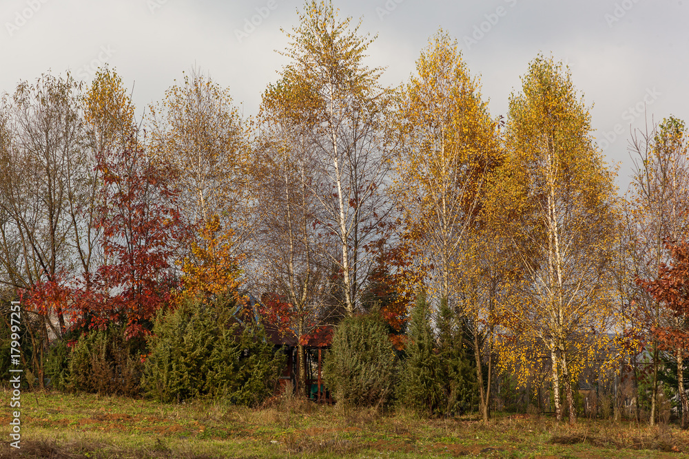 Autumn landscape in the western Ukrainian Carpathians