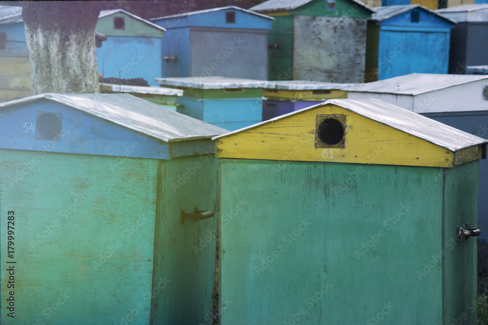 Bee colorful hives standing in a row, apiary in the village. Bee colorful hives standing in a row, apiary in the village.
