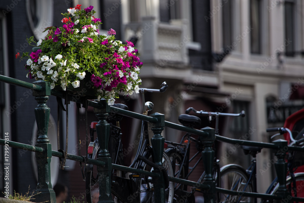 Blumen und Fahrräder - Holland in einem Bild