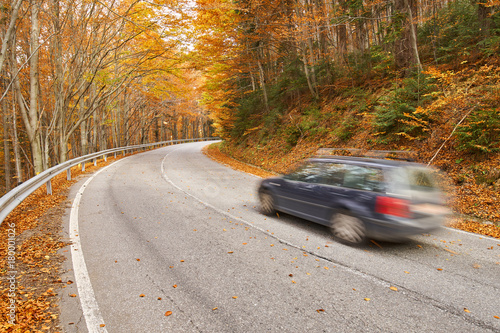 Car speeding through forest