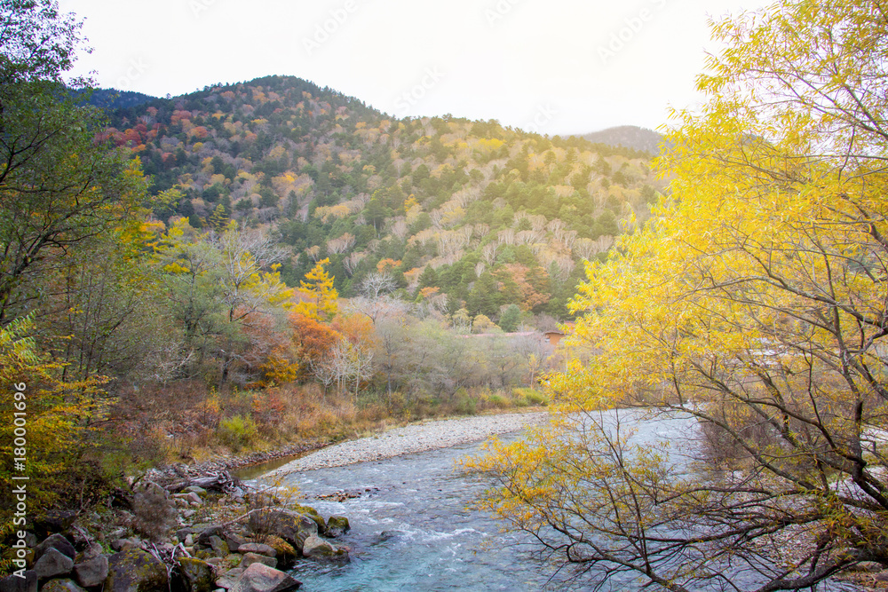 Natural scene of autumn leave (fall) in Kamikochi, Matsumoto, Japan Natural scene of autumn leave (fall) in Kamikochi, Matsumoto, Japan