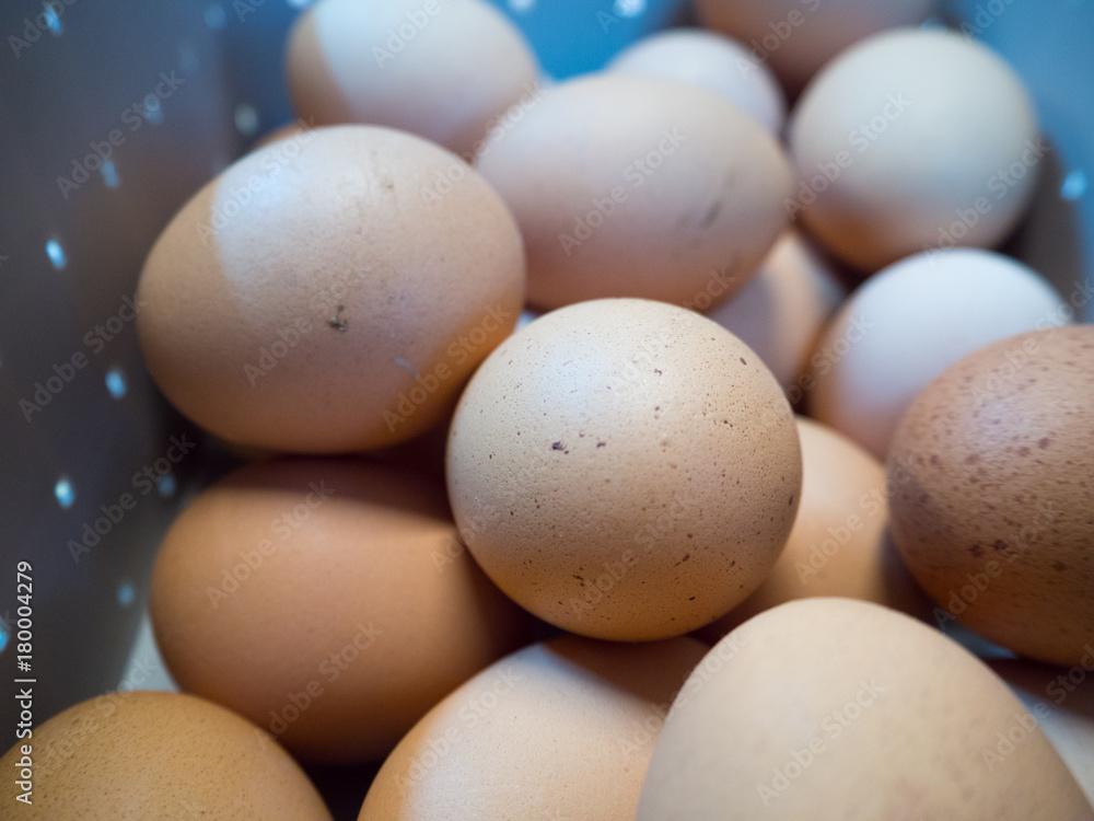 egg egg
