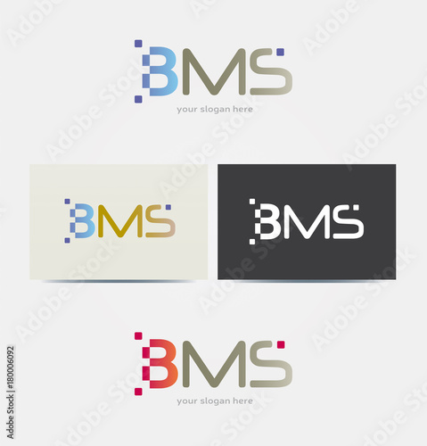 Logo Lettres BMS Multicolore Icone Carte de Visite et Charte Graphique Entreprise Plusieurs Couleurs 