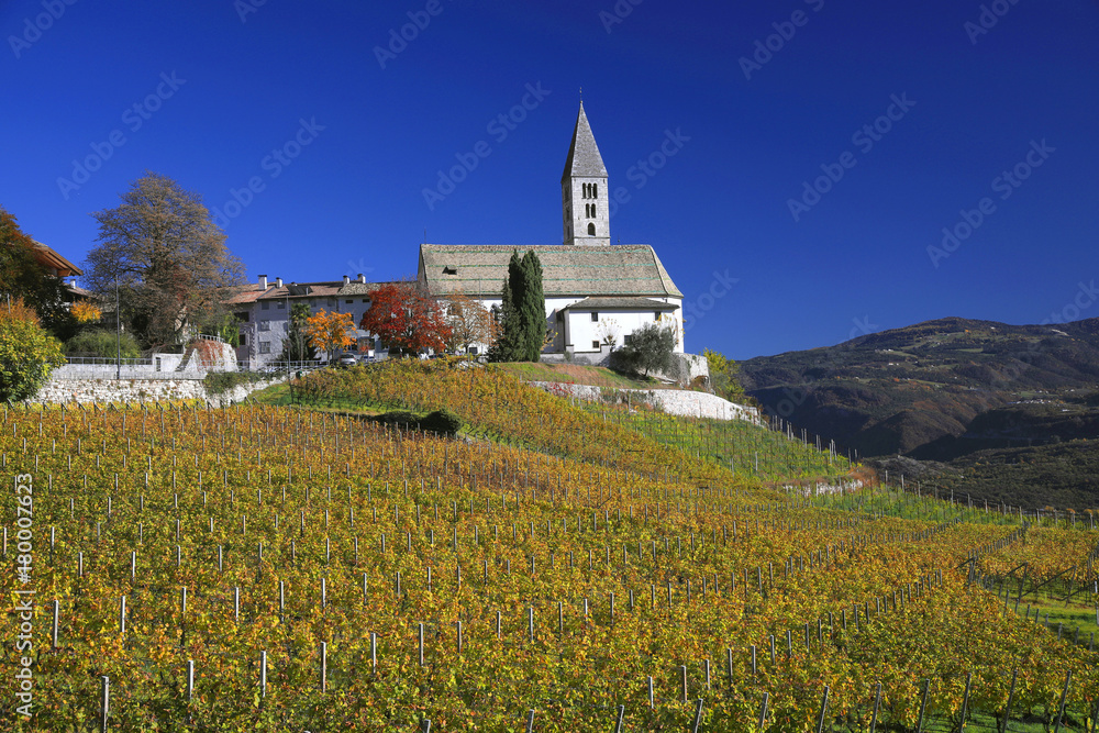 Kirche mit Weinberg im Herbst, Kurtatsch, Südtirol, Italien, Europa