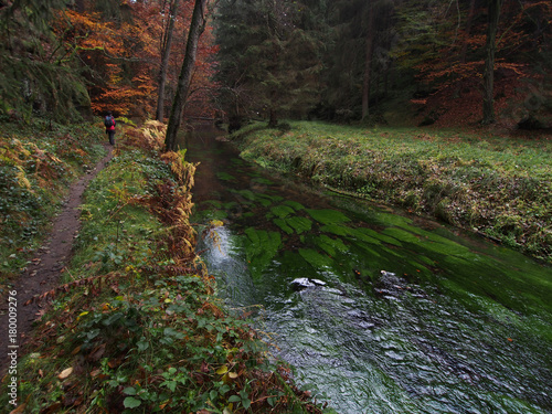 Wandern im Kirnitzschtal photo