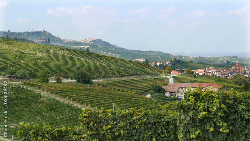 Naklejka premium Langhe vigneti Barolo