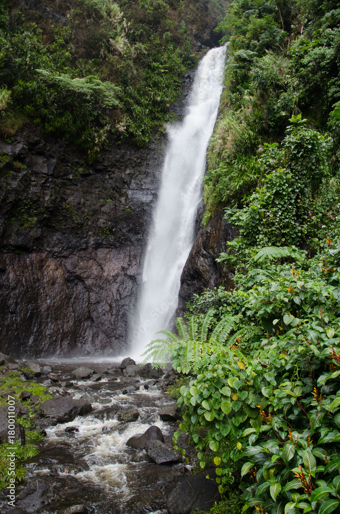 Obraz premium tahiti