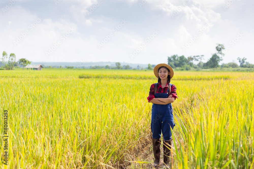 Farmer woman hand holding rice