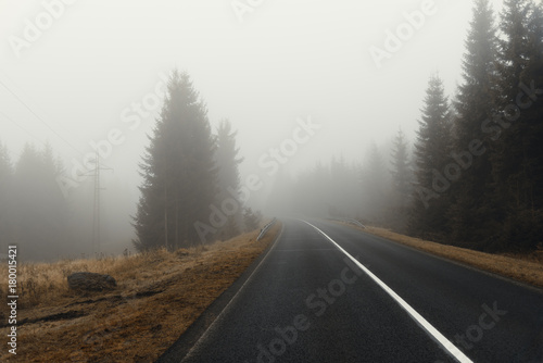 neblige Straße im Erzgebirge photo