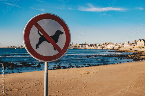No dogs allowed on the beach street sign in Cascais, Portugal