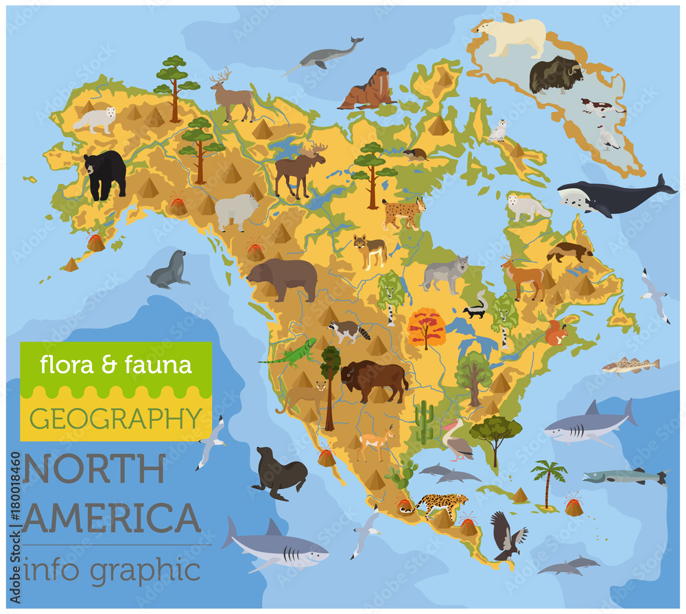 North America flora and fauna map, flat elements. Animals, birds and ...