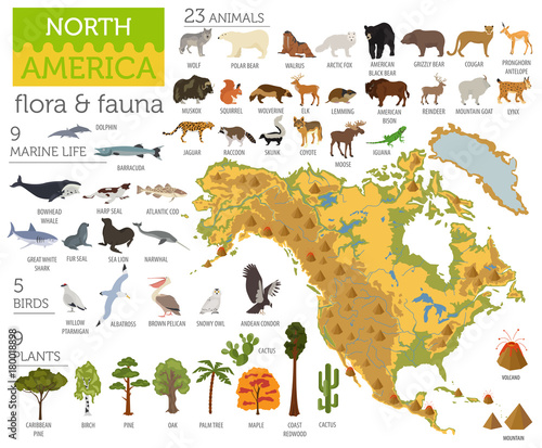 North America flora and fauna map, flat elements. Animals, birds and sea life big set. Build your geography infographics collection