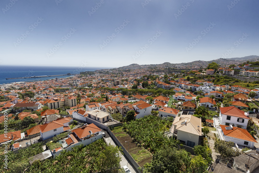 Arial view of crops growing near residential houses in the city of Funchal in Madeira.