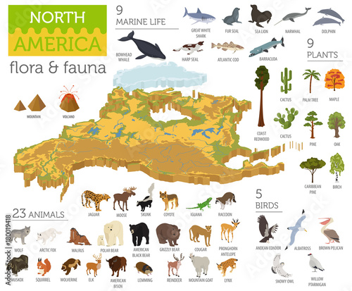Isometric 3d North America flora and fauna map elements. Animals, birds and sea life. Build your own geography infographics collection