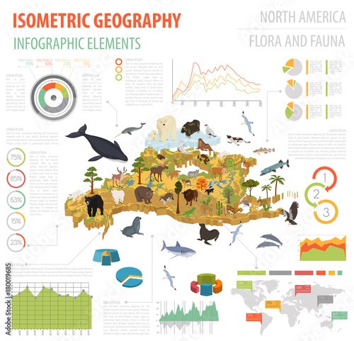 Isometric 3d North America flora and fauna map elements. Animals, birds and sea life. Build your own geography infographics collection